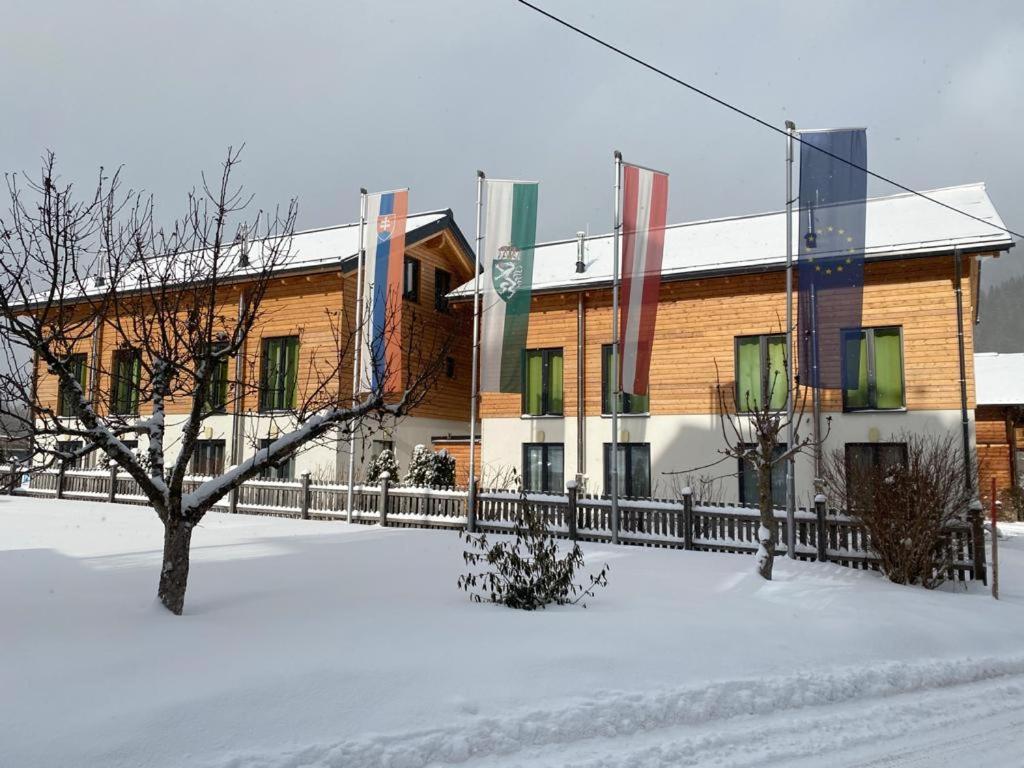 Chalet Reiteralm- Ski Inski Out Schladming Kültér fotó